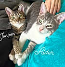 Photo of siblings Juniper & Alder