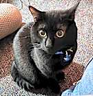 Photo of BOOGER