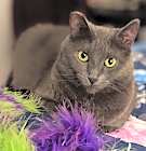 Photo of Alice