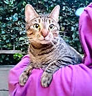 Photo of Mimi