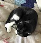 Photo of Coony