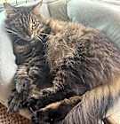 Photo of Mama Tabitha