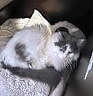 Photo of Zoe
