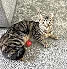 Photo of Sally