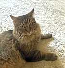 Photo of Coco