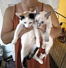 Photo of Lilabet