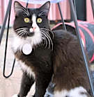 Photo of Coco
