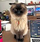 Photo of Theo