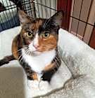 Photo of Queen Isabella