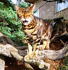 Photo of Zahdh