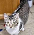 Photo of Phoenix