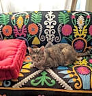 Photo of One lovable girl Lexi