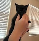 Photo of Unnamed