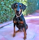 Photo of Zoe