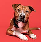 Photo of Gus