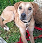 Photo of Kira