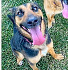 Photo of Rocket