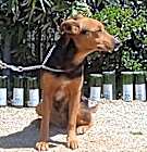 Photo of Maggie