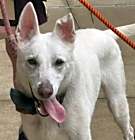 Photo of Pancake 6757