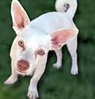 Photo of Coco