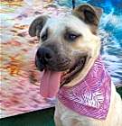 Photo of Gladys