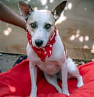 Photo of Monica