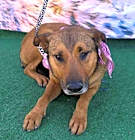Photo of Canelita