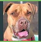 Photo of Jax