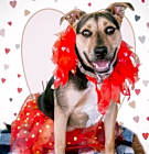 Photo of Valentina