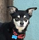 Photo of Professor Plum