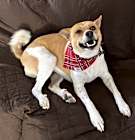 Photo of Max