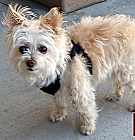 Photo of Roxy