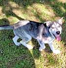 Photo of Aspen