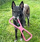 Nikki thumbnail image