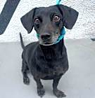 Photo of Thelma