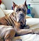 Photo of Mavis