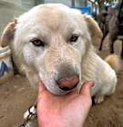 Photo of Hope