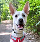 Photo of Cady