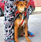 Photo of Argus