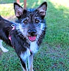Photo of Lulu