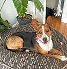 Photo of Macks
