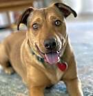 Photo of Penny