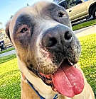 Photo of Sabrina