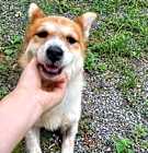 Photo of Salsa