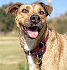 Photo of Chumi