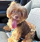 Photo of Twinky