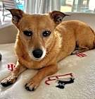 Photo of Maggie  -  So Ca