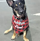 Photo of Sammy