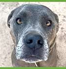 Photo of Hugo
