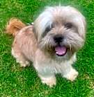 Photo of ACE